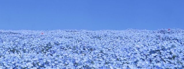 をむつさんの壁紙画像