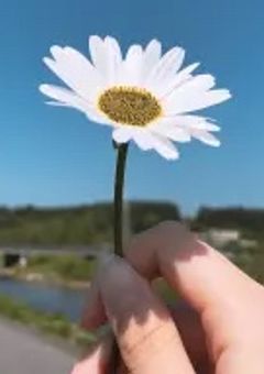 恋玉 - Love Ballad of Our Youth