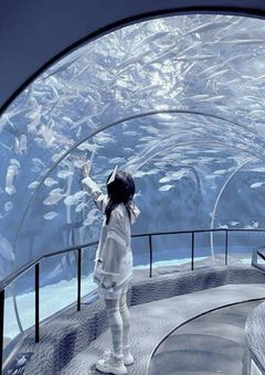 　〚 君とあたしの抜け殻 〛　