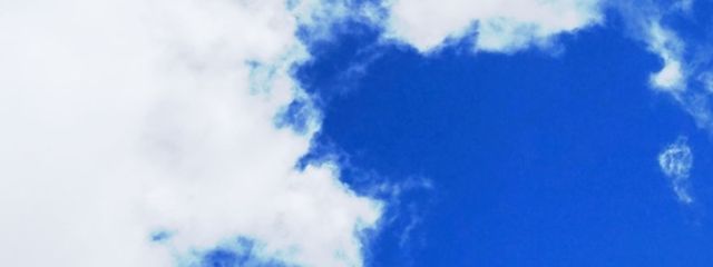 玲奈さんの壁紙画像