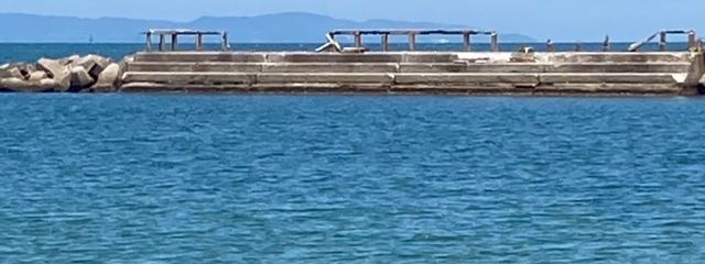 ゆむさんの壁紙画像