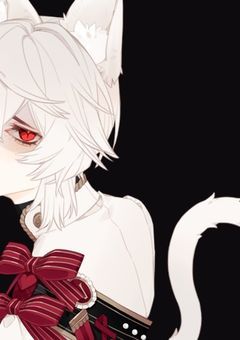 猫の国