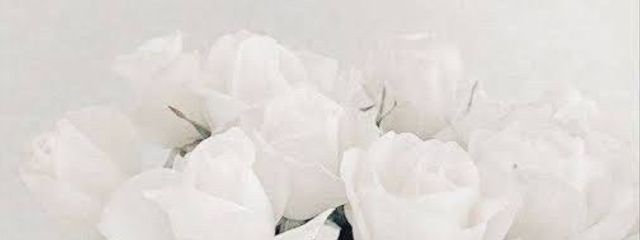 レモネード🍋れもちゃんさんの壁紙画像