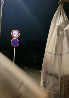 色々.  ̫ .