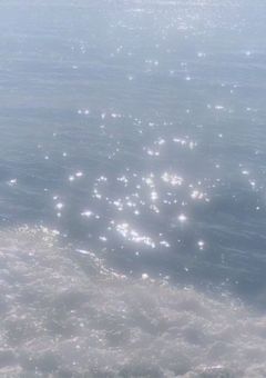 # 僕 は 教 師 だ か ら 。