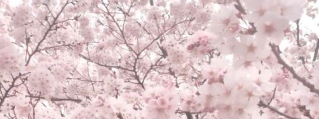 ^_-☆さんの壁紙画像