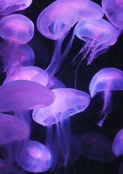 せんせーだいすき！