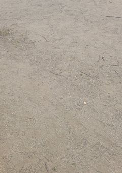 りぃぃぃぃれぇぇぇぇぇぇぇぇ!!!