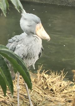 ⟡.*ふと口ずさんだフレーズを掴まえて