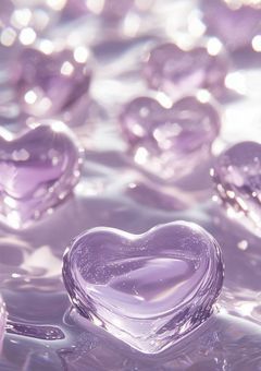 社長の妹、活動者だったらしい。