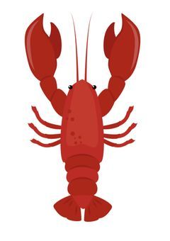 ꒰ঌ 🦞 短編集 ໒꒱　※更新停止中