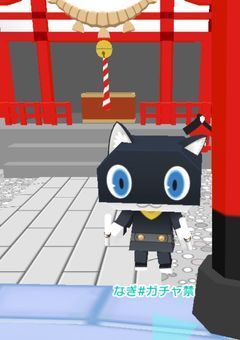 さめまぐろさん専用部屋🐟