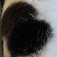 私は人間ですよさんのアイコン画像