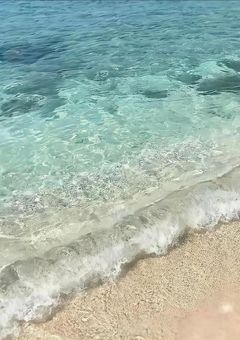 今日、 好きになりました　− ボストン編 −