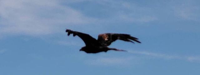 酔。さんの壁紙画像