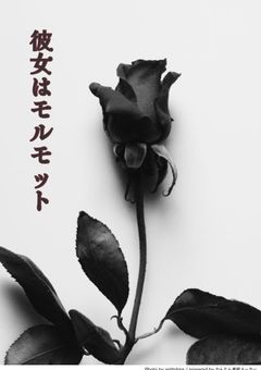 彼女は実験体(モルモット)