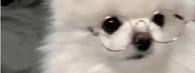 LANNさんの壁紙画像