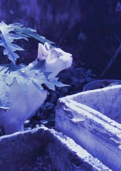 #  Я люблю тебя　我爱你 .