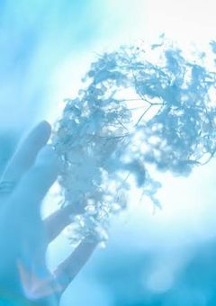 雪解けの雫は恋を呼ぶ