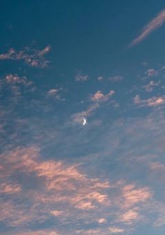 なんか懐かれたんだけど