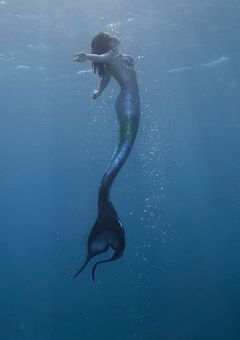 真珠探してます .