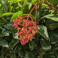 趣味投稿さんのアイコン画像