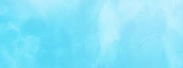 かたつむりさんの壁紙画像