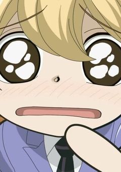 どうやら私がホスト部の新たなホストになっちゃって！？