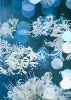 花散家の使用人、病弱でした