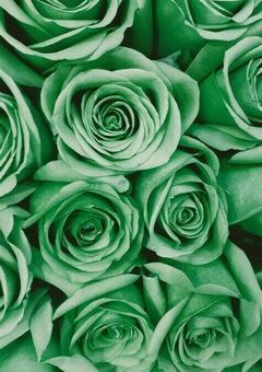 ＃　再婚して できた兄に 好かれすぎている件 。　📣💚 ver ．