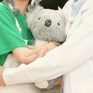 きみどりみんとさんのアイコン画像