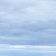 ゆうさんのアイコン画像