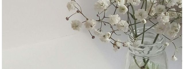 sena⸝⸝꙳さんの壁紙画像