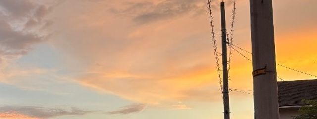 レイラさんの壁紙画像