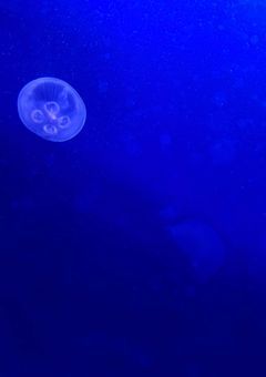いらすとのへや