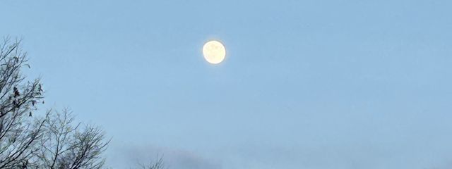 星空れい🌙🌌さんの壁紙画像