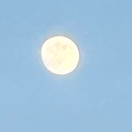 星空💫🌙🌌さんのアイコン画像