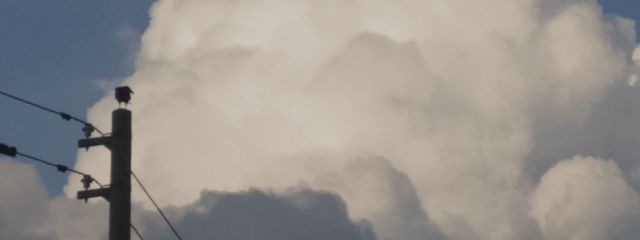 kemuさんの壁紙画像