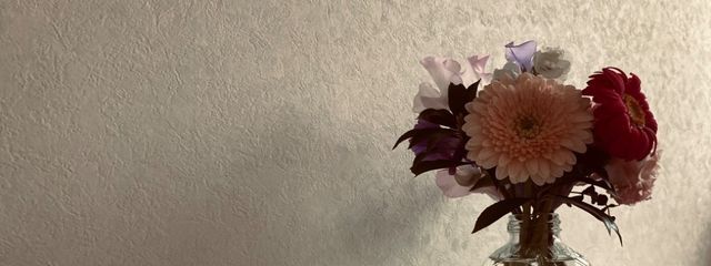 巫女蘭(みこら)💍🕊さんの壁紙画像