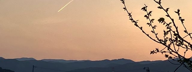 空月さんの壁紙画像