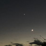 空月さんのアイコン画像