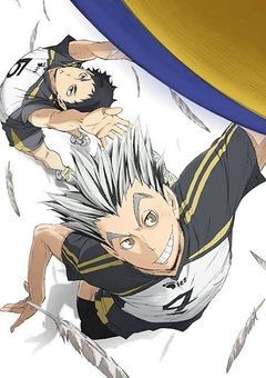 ハイキュー!!　　木兎　光太郎に妹！？
