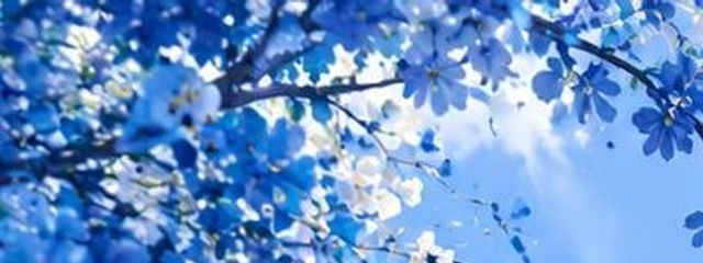 YU-KIさんの壁紙画像
