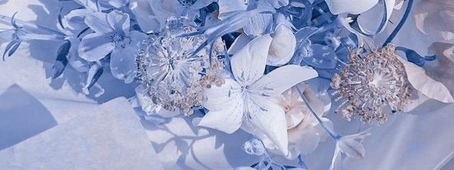 　　　來 霧 .さんの壁紙画像