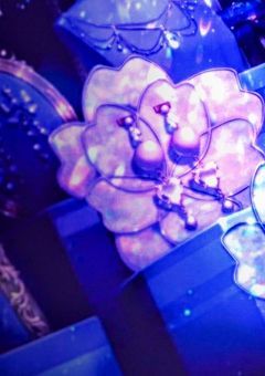 人格達はポケモンの世界に来ました