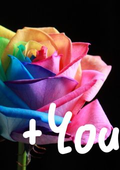 虹薔薇学園に君も行こ？