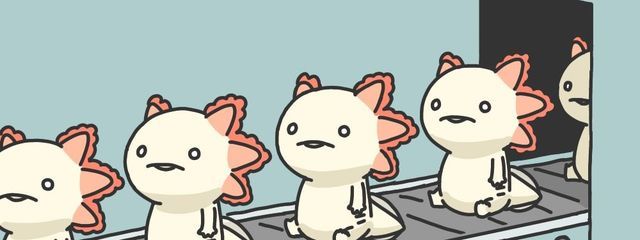 榎那（よな）正式にプリ小説引退しましたさんの壁紙画像