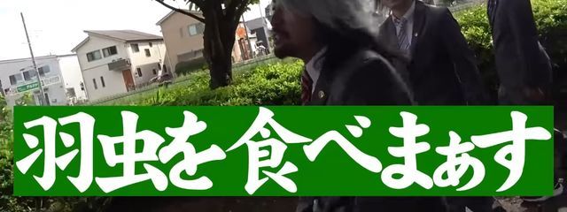 ﾃﾞﾝﾁｬﾊﾟの夢女さんの壁紙画像
