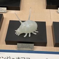 jellyさんのアイコン画像