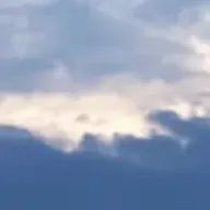白猫さんのアイコン画像